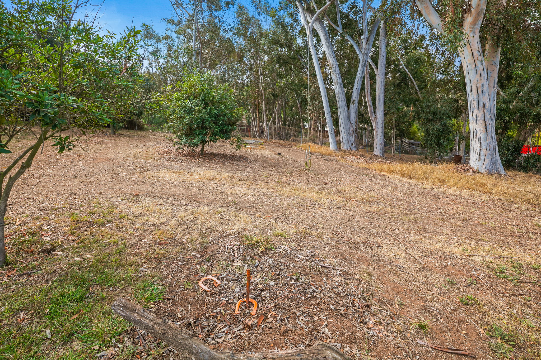 1646 E Tierra Libertia Rd-60