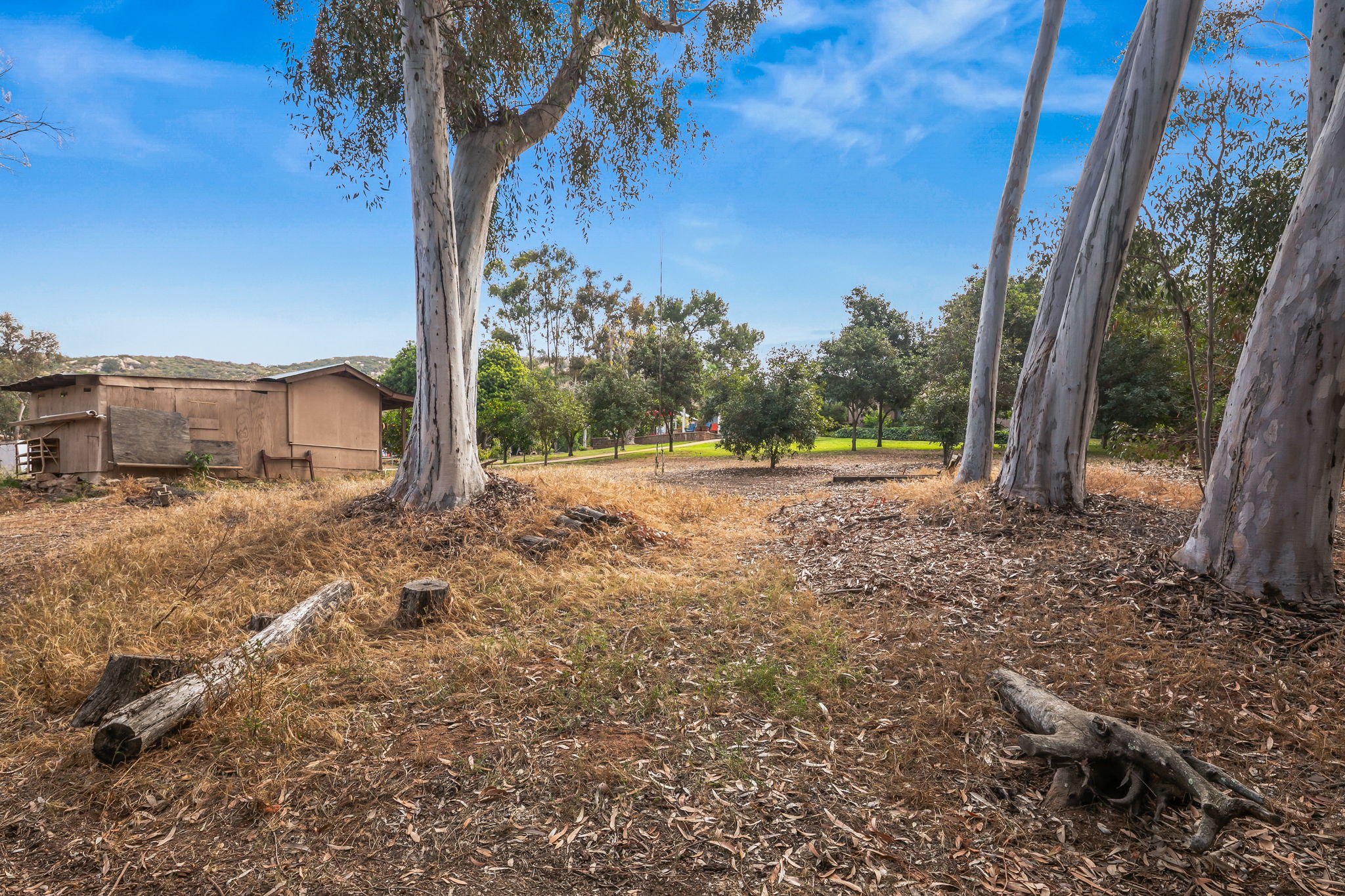 1646 E Tierra Libertia Rd-58