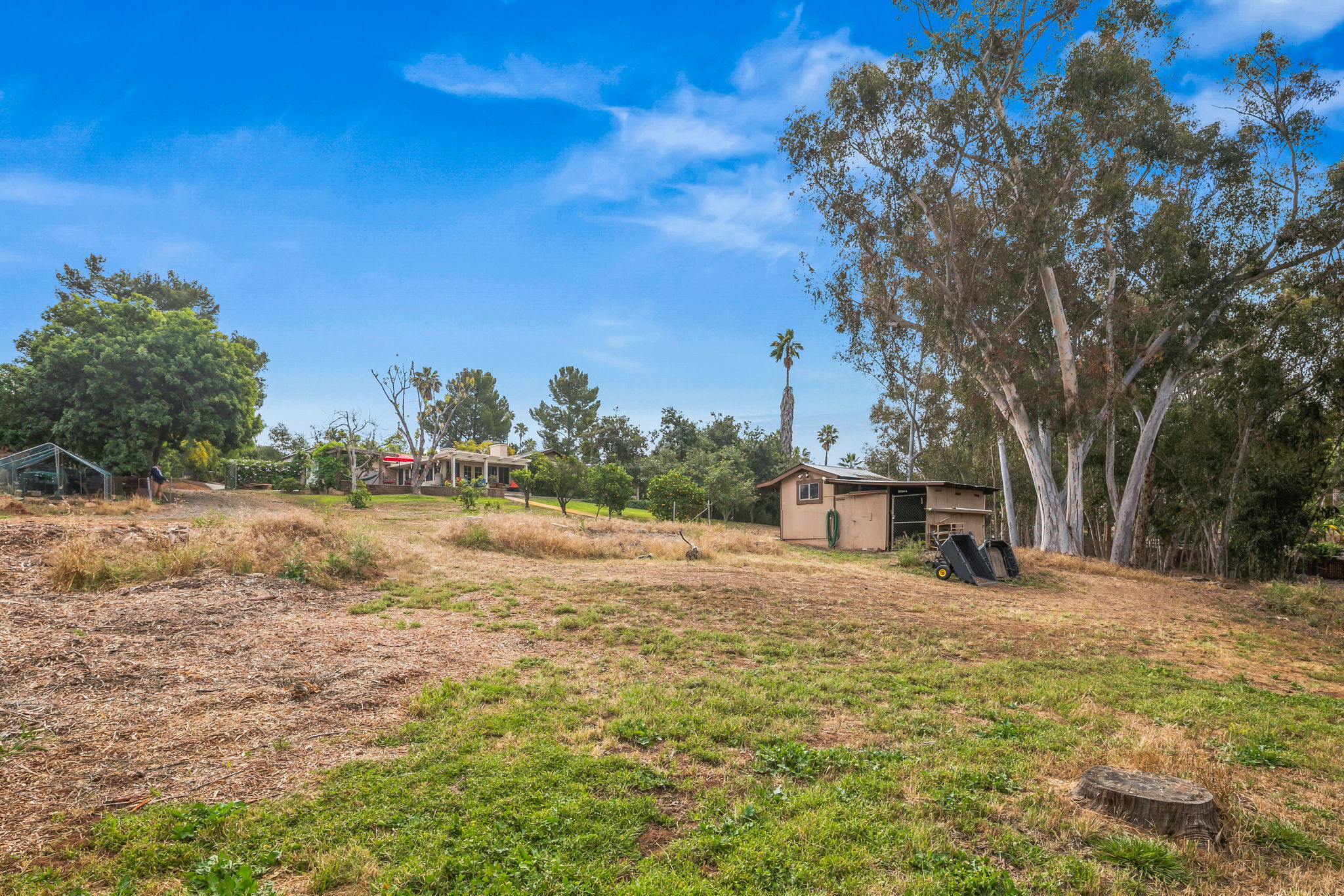 1646 E Tierra Libertia Rd-54