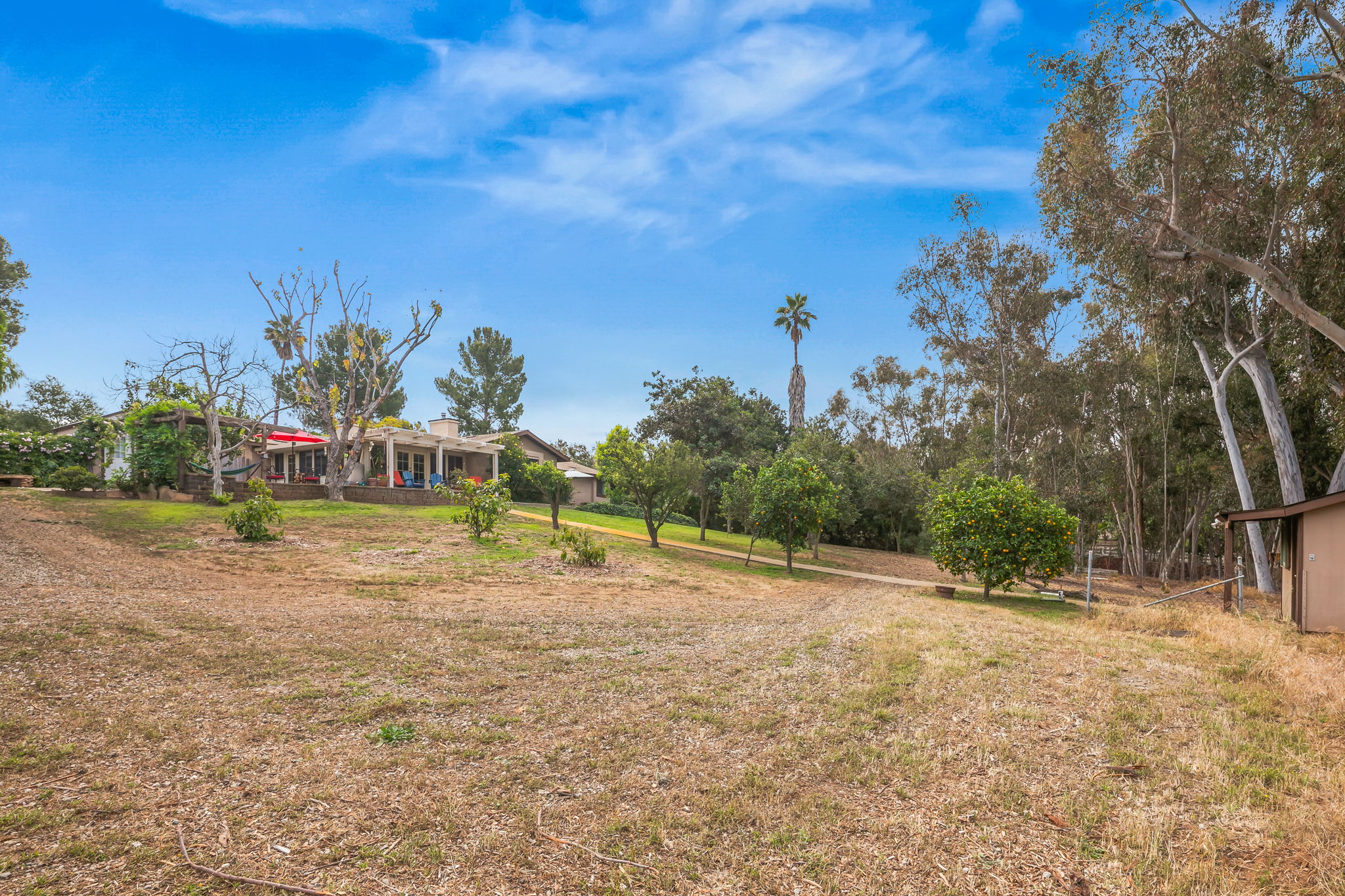1646 E Tierra Libertia Rd-53