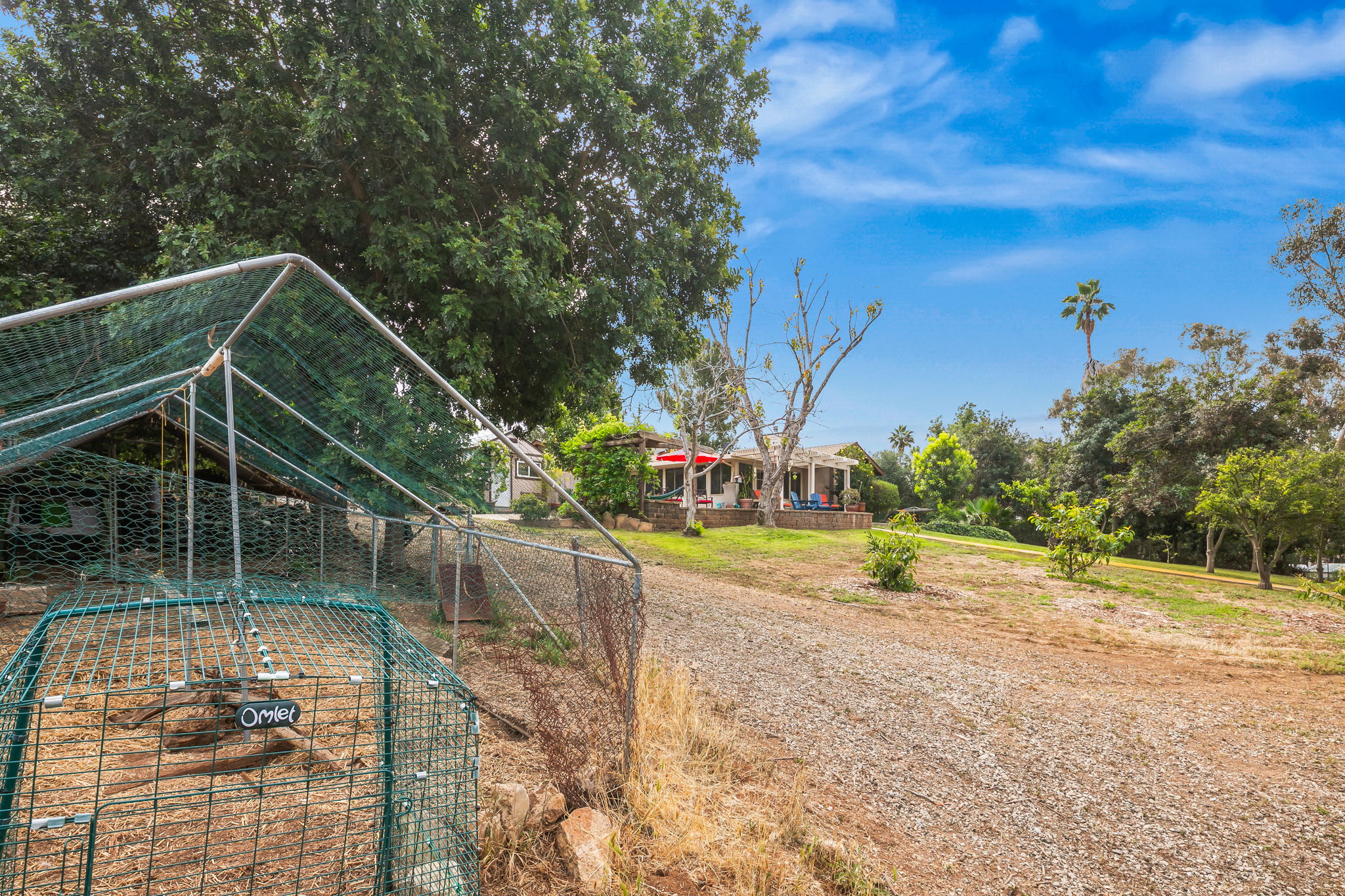 1646 E Tierra Libertia Rd-52