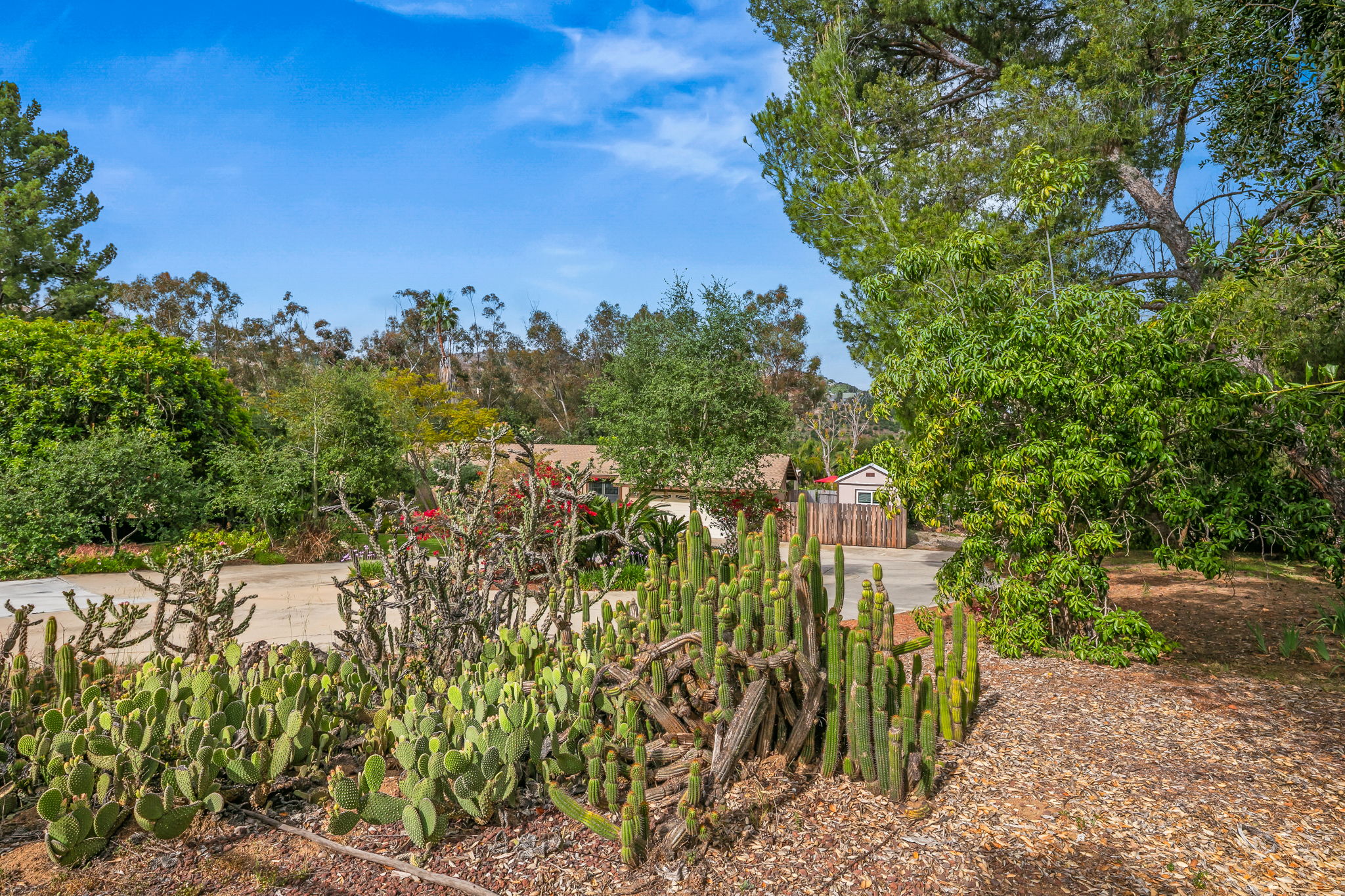 1646 E Tierra Libertia Rd-45