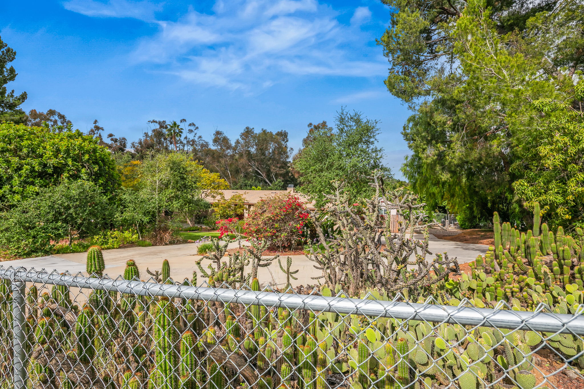 1646 E Tierra Libertia Rd-44