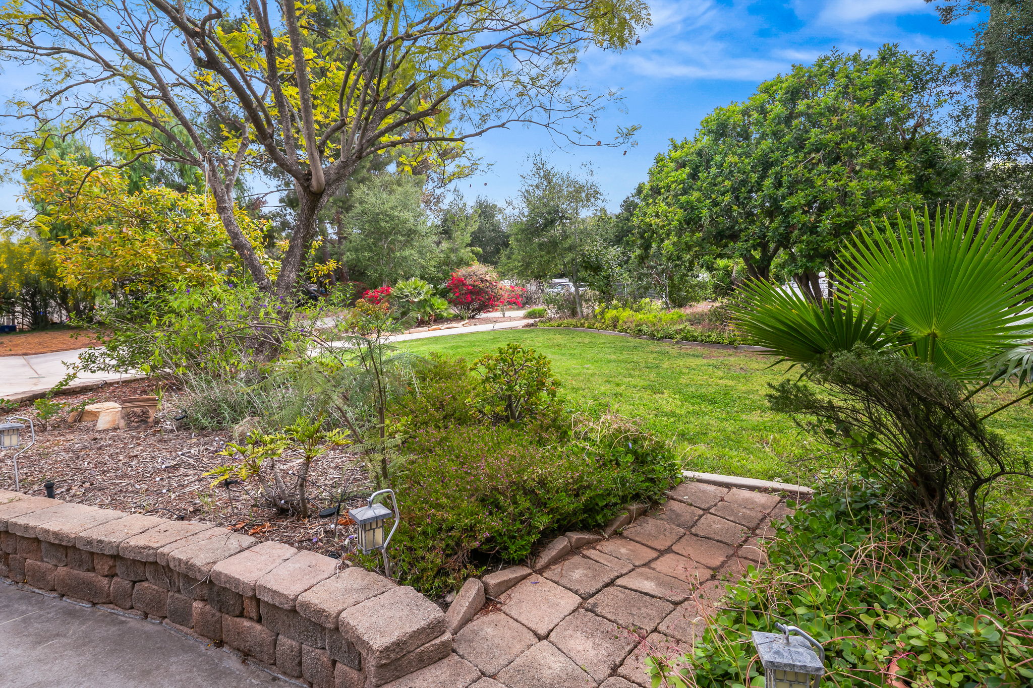 1646 E Tierra Libertia Rd-28