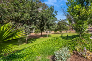 1646 E Tierra Libertia Rd-69