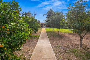 1646 E Tierra Libertia Rd-64