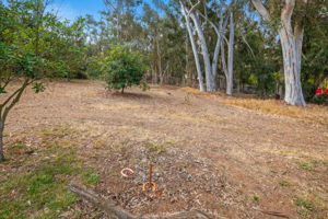 1646 E Tierra Libertia Rd-60
