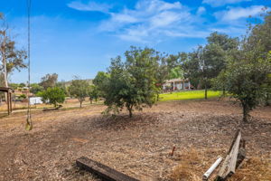 1646 E Tierra Libertia Rd-59