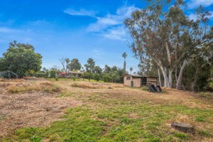 1646 E Tierra Libertia Rd-54