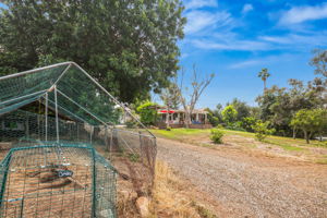 1646 E Tierra Libertia Rd-52