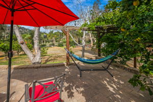 1646 E Tierra Libertia Rd-48