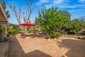 1646 E Tierra Libertia Rd-47
