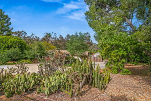 1646 E Tierra Libertia Rd-45