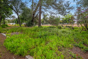 1646 E Tierra Libertia Rd-31