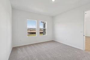 Cane Bamboo Dr-S2712-022.jpg