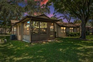 Backyard3