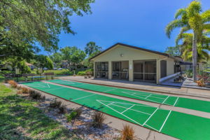 Shuffleboard1