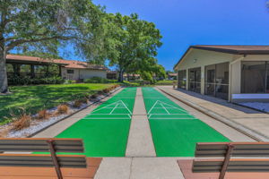 Shuffleboard2