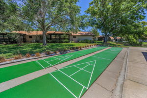 Shuffleboard3