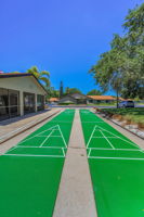 Shuffleboard4