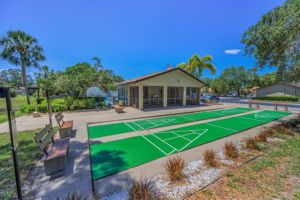 Shuffleboard5