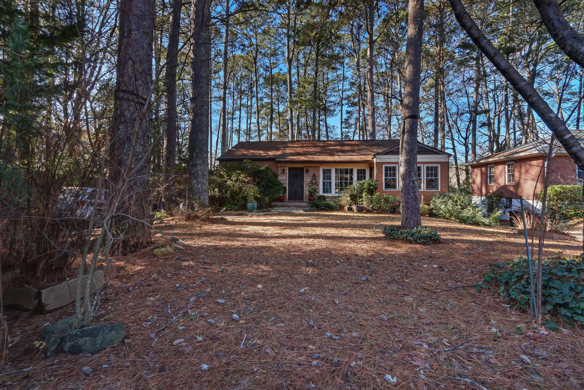 Front Yard