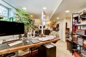 Finished Basement