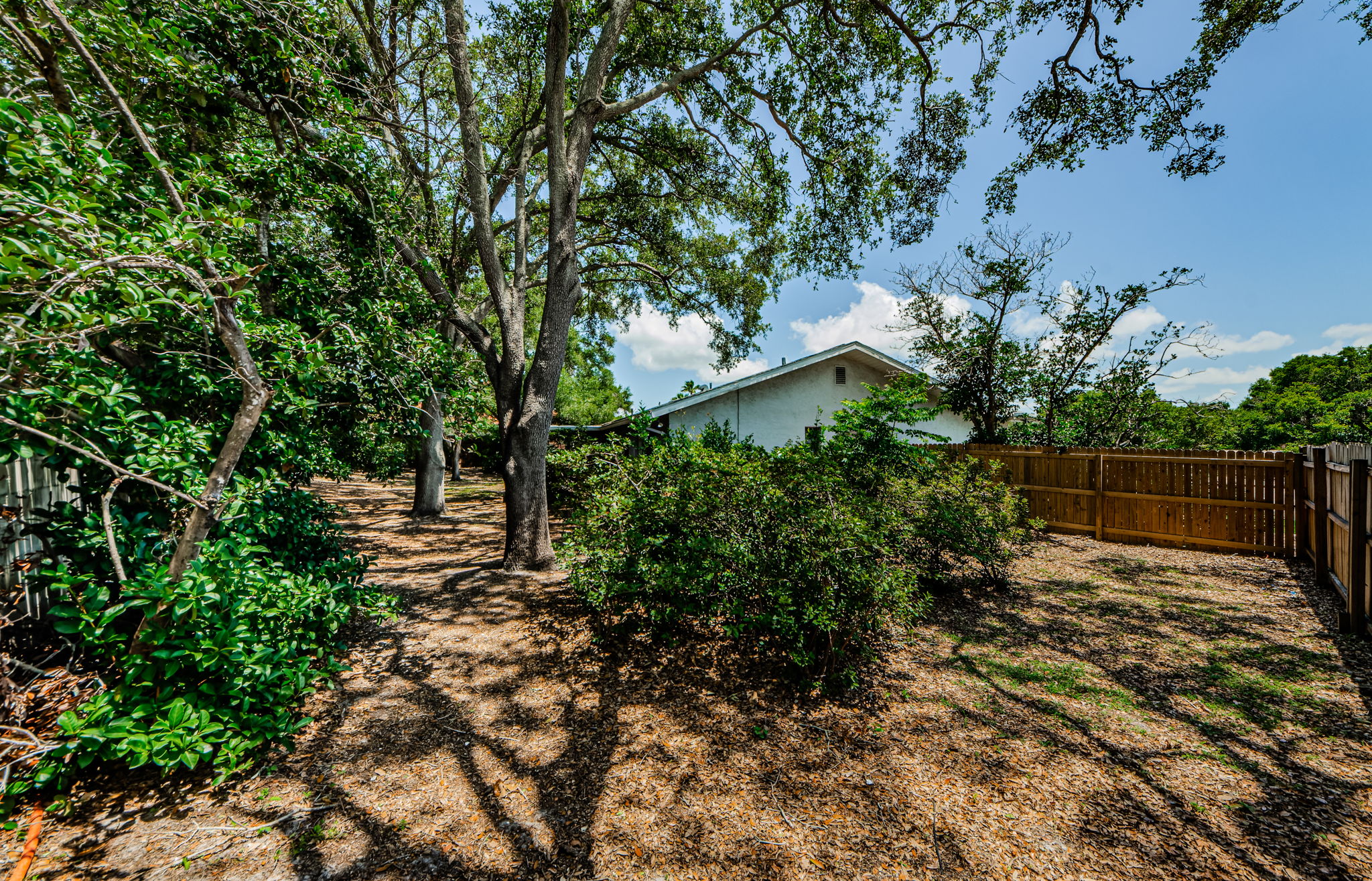Backyard 1-4