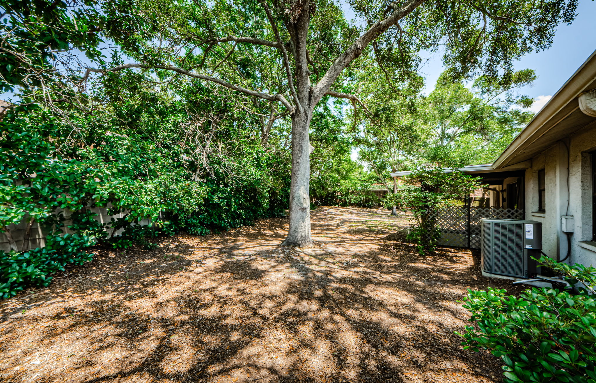 Backyard 3-4
