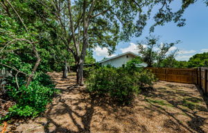 Backyard 1-4