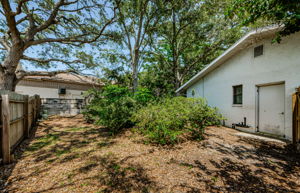 Backyard 2-4