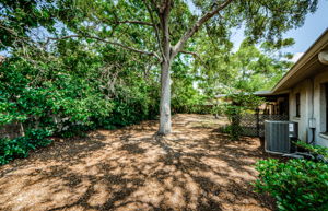 Backyard 3-4
