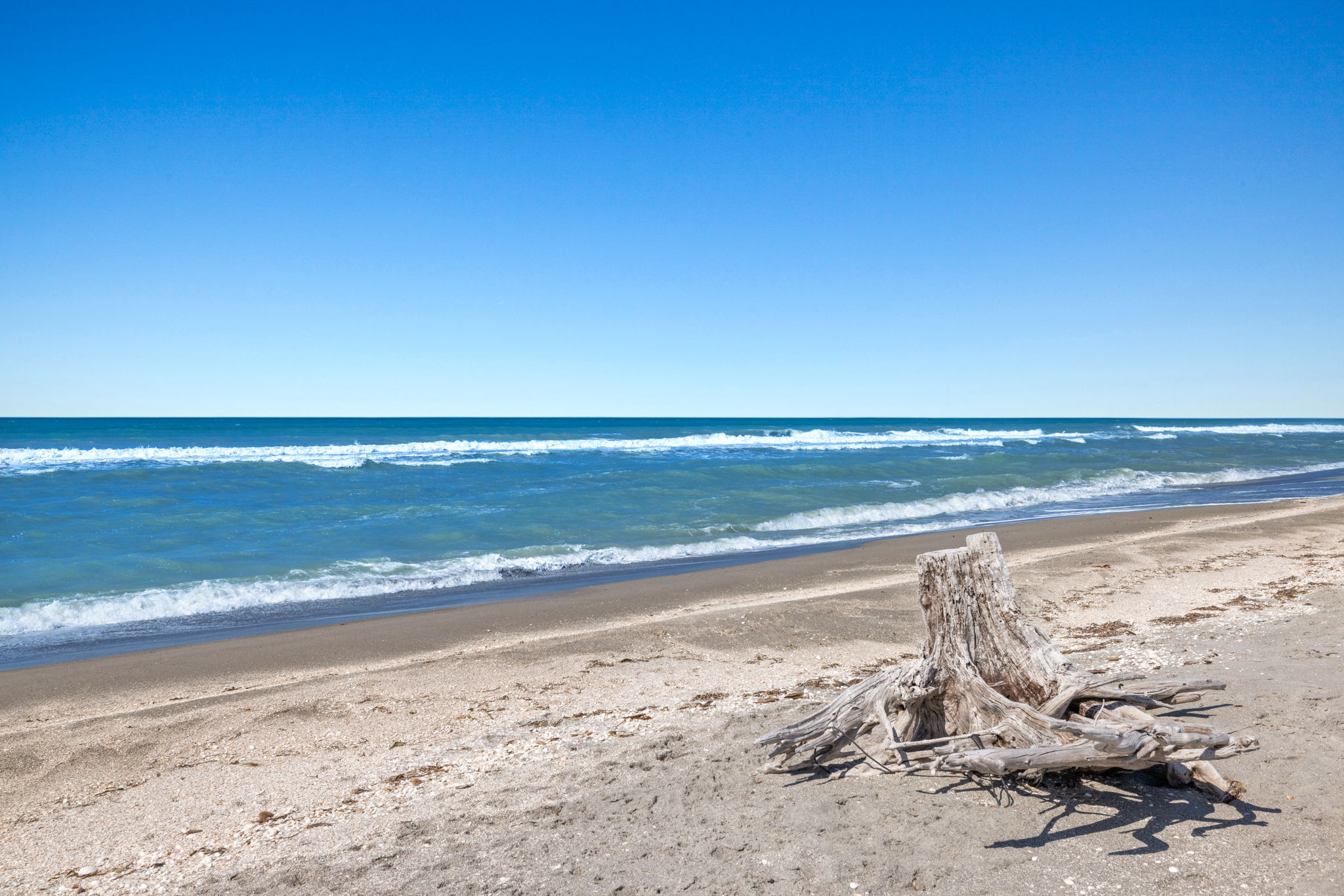 Beach View