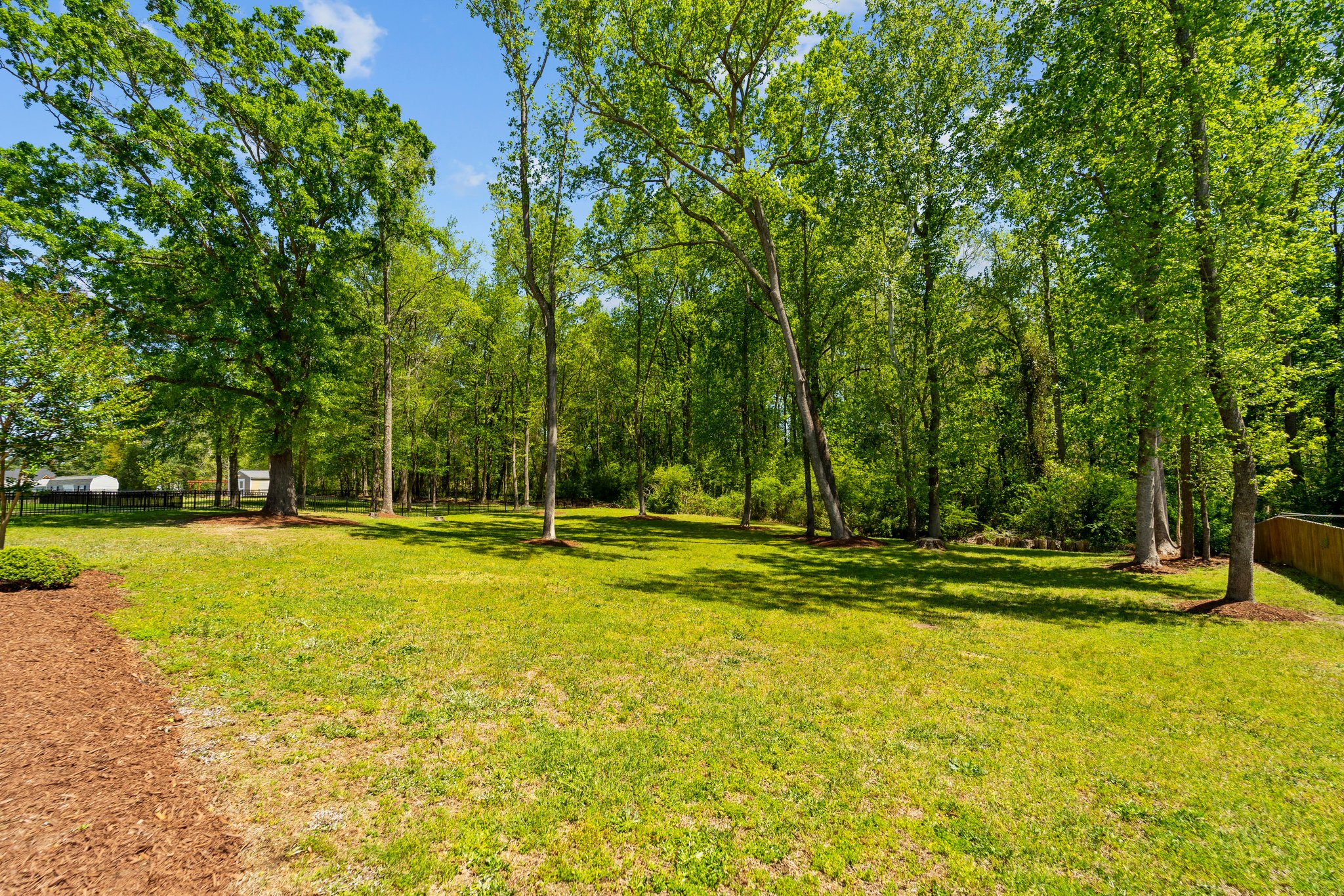 165 English Springer Dr, Angier, NC 27501, USA Photo 9