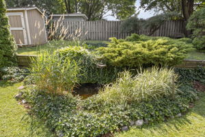  Photo 47