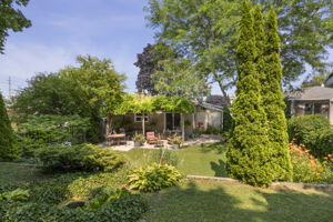  Photo 44
