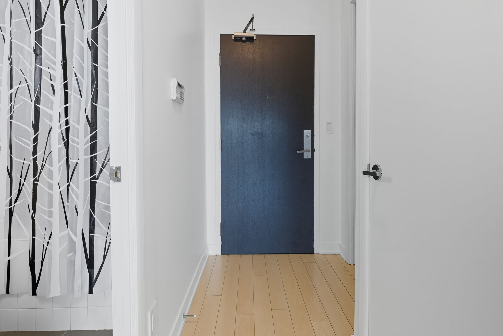 Toronto property showcase — delivered property photograph 4