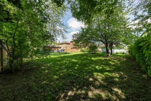  Photo 37