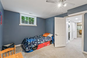  Photo 41