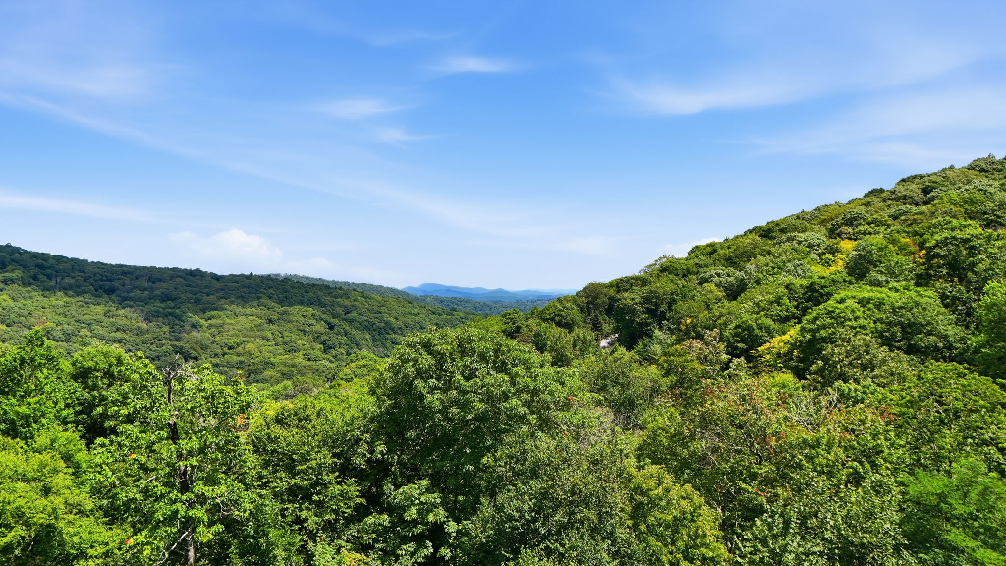 009_DJI_20260819011252_0376_D