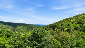 009_DJI_20260819011252_0376_D