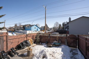  Photo 36