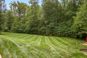 68-Backyard