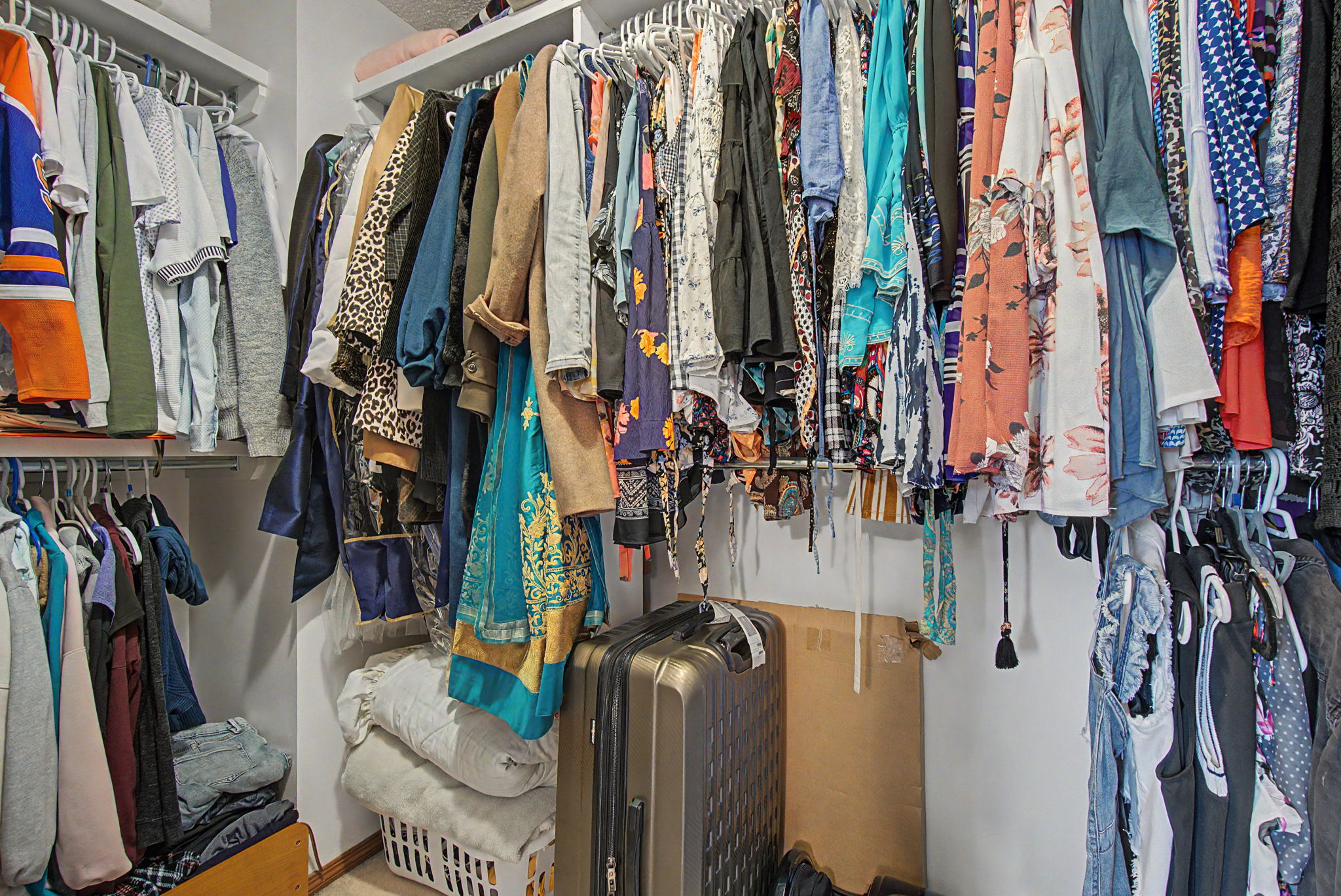 Photo 44