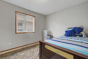 Photo 47