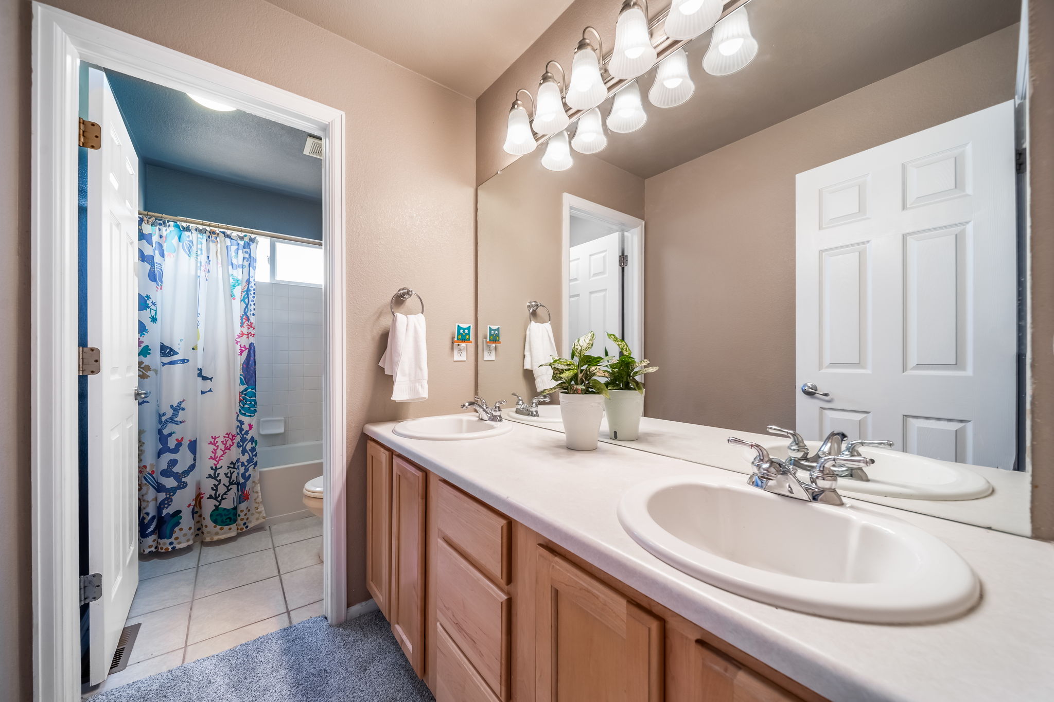  Photo 31