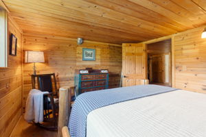 Lower Level Queen Bedroom