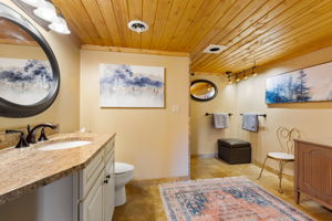 Lower Level Bathroom + Steam Shower