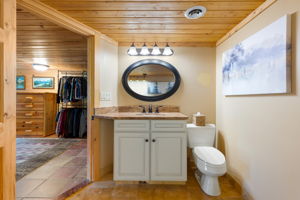 Lower Level Bathroom + Steam Shower