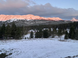 Winter Bridgers